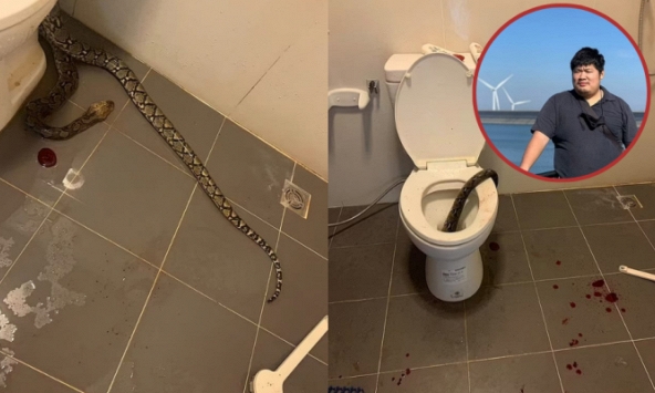 Kinh hoàng cảnh tượng người đàn ông bị con rắn dài 3,6 mét nép trong bồn cầu nhào ra cắn khi đi vệ sinh