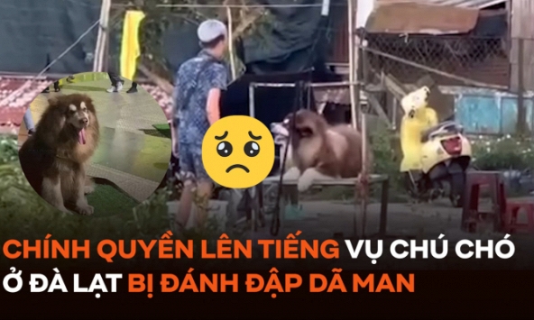 Xác minh vụ chú chó chụp ảnh với du khách ở Đà Lạt bị đánh đập dã man