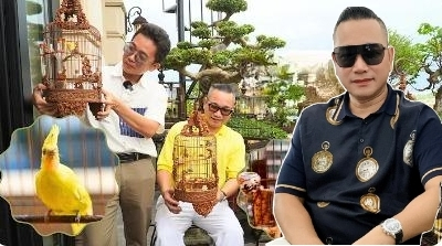 Đại gia phố cổ sở hữu đàn thú cưng đắt đỏ giá 10 tỷ đồng: Nuôi trong lồng tiền tỷ, bay trong phòng điều hòa, có người chăm sóc riêng