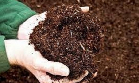  Nghiên cứu đột phá về chế phẩm vi sinh vật phân hủy phốt pho hữu cơ: Hướng đi mới cho nông nghiệp bền vững