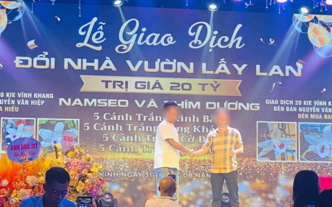 Xôn xao lễ giao dịch đổi nhà vườn lấy lan trị giá tới 20 tỷ đồng ở Bắc Ninh