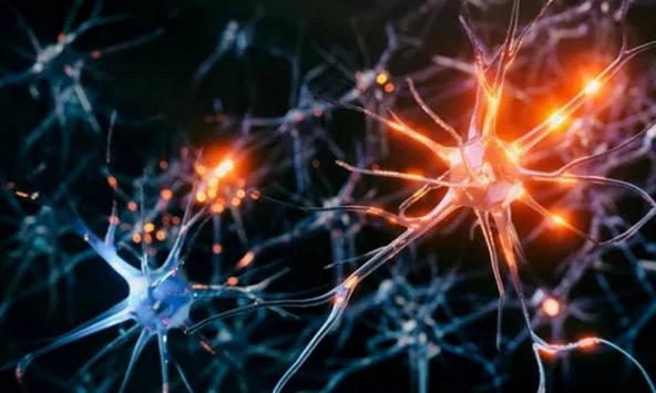 Nghiên cứu mới phát hiện não bộ có thể tạo ra nhiều bản sao ký ức