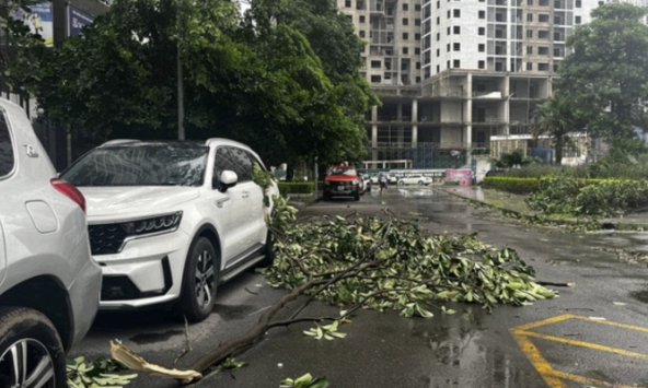 Bão số 3 Yagi tiến sát vào Quảng Ninh: Cây gãy đổ, gió giật mạnh