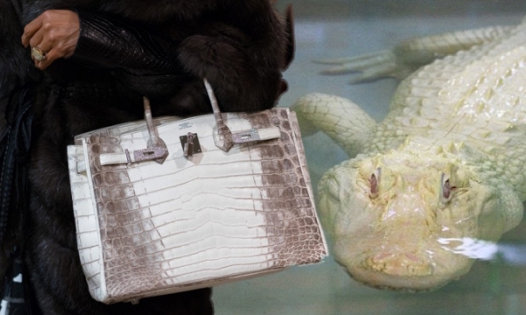 Hermès 'bạch tạng' được làm kỳ công đến mức nào mà được coi là 'chén thánh' giới sưu tập, có tiền không chắc mua được?