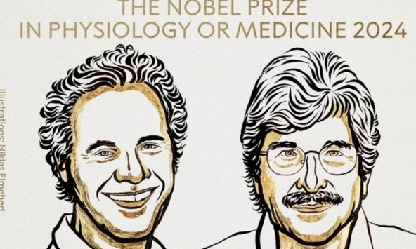 Giải Nobel Y sinh 2024 vinh danh phát minh RNA siêu nhỏ trong điều hòa gene