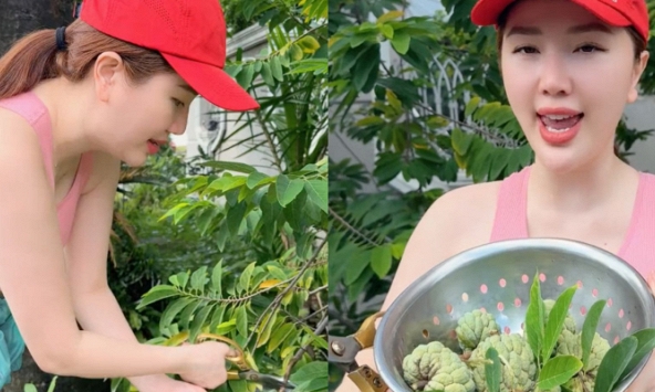 Bảo Thy hái na cùng chồng thôi cũng bị dân mạng bắt bẻ: 'Na xanh vậy cắt vội để luộc ăn hả chị?'