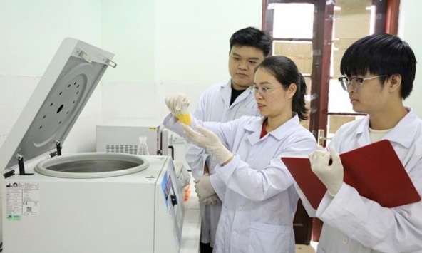 Nhà khoa học nữ có nhiều đóng góp trong lĩnh vực Vật liệu cao phân tử và tổ hợp 