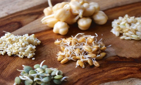 “4 thêm, 3 tránh” phải nhớ khi ăn rau củ mọc mầm, có loại gấp đôi dinh dưỡng nhưng có loại gây ngộ độc