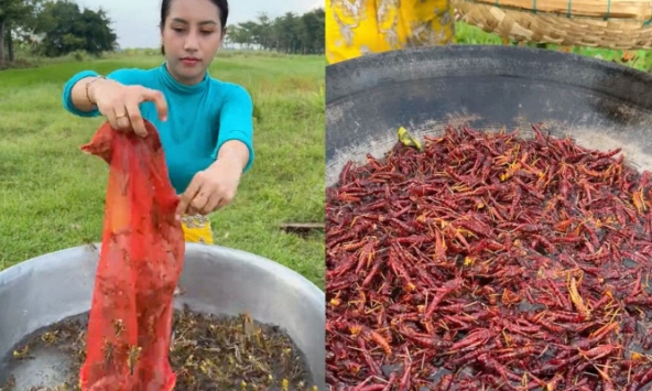 27 triệu người tiếc ngẩn ngơ trước cảnh cô gái đang nấu ăn thì nguyên liệu bay đi mất