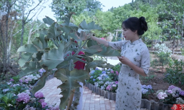 Lý Tử Thất 'xả' video liên tục sau khi trở lại, netizen vỡ oà vì những gì được thấy sau 3 năm chờ đợi 