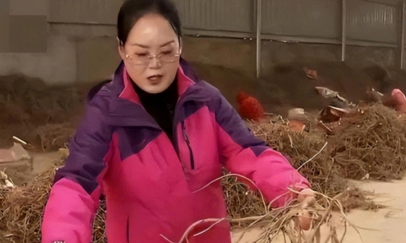 Người phụ nữ bị phản đối vì bán gia tài lấy 35 tỷ mua 15000 mẫu đất sa mạc: 13 năm sau trở thành tỷ phú nhờ 1 công thức