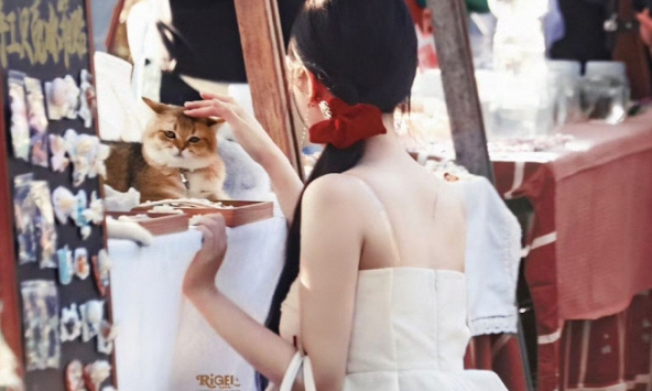 Bản nhật ký đang viral khắp Trung Quốc