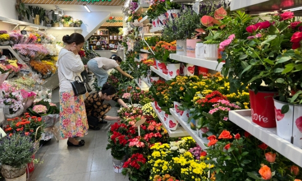 Giá hoa tươi tăng mạnh cận kề ngày 20/11