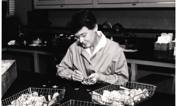 Barbara McClintock: Nhà khoa học nữ tạo ra cuộc cách mạng trong di truyền học với 'gen nhảy'