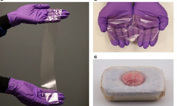 Nghiên cứu phát triển nhựa hòa tan trong nước từ tế bào sống