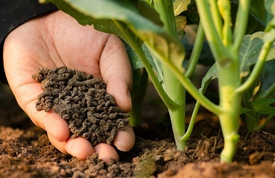 Chế phân bón vi sinh từ rác hữu cơ, dự án chuyển đổi xanh cho nông nghiệp hiện đại.