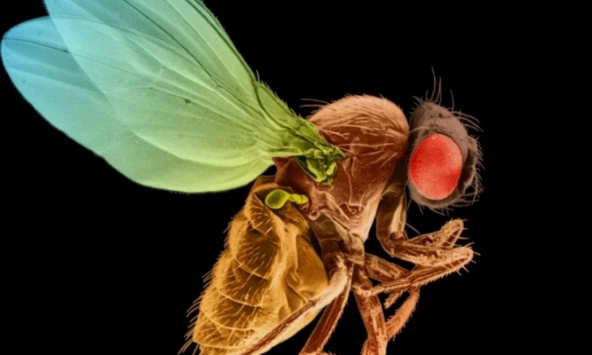 Sáu “khoảnh khắc” khoa học quan trọng trong năm 2024 sẽ định hình tương lai