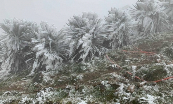 Miền Bắc rét đậm, rét hại: Những kiến thức cần lưu ý để bảo vệ sức khoẻ