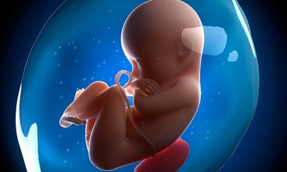 Em bé đầu tiên được thụ thai thông qua công nghệ đột phá Fertilo chào đời