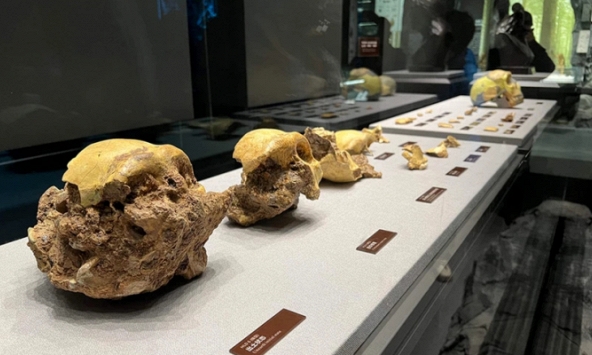 Nhà khoa học Trung Quốc đưa ra giả thuyết rất khác biệt về tổ tiên loài người