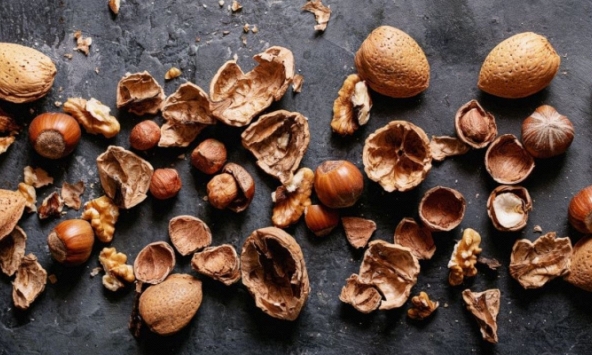 Nghiên cứu phát triển vật liệu bền vững từ vỏ hạt