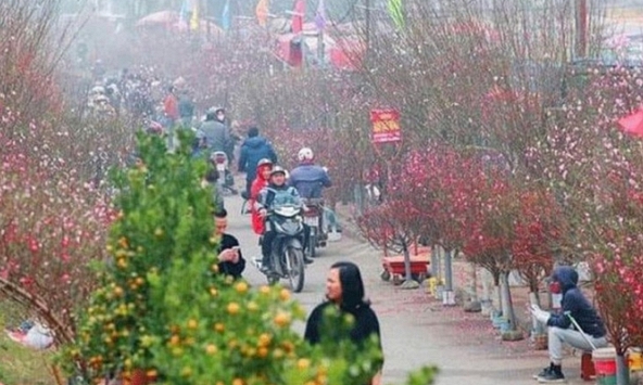 Hà Nội tổ chức 70 chợ hoa xuân phục vụ Tết Nguyên đán từ ngày 8/1