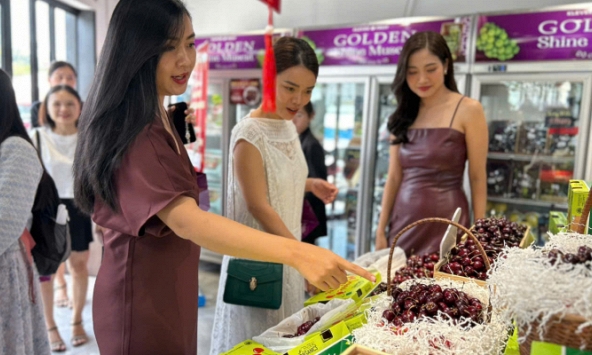 Cherry hữu cơ New Zealand chính thức vào thị trường Việt Nam