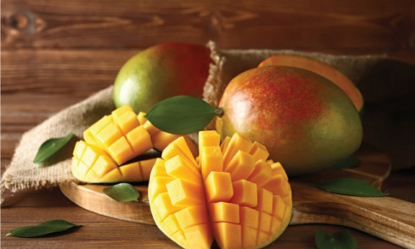 Sản xuất giấm dinh dưỡng từ phụ phẩm xoài, bước tiến trong việc phát triển bền vững ngành chế biến nông sản.