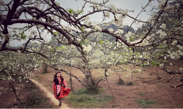 Du Xuân xuyên Tết - Xu hướng trải nghiệm mới của gia đình Việt