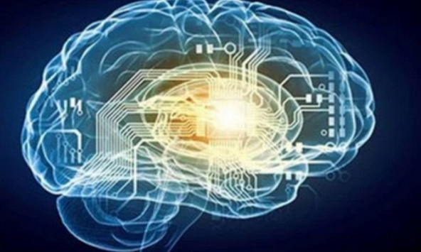 Phát hiện đáng kinh ngạc về tình trạng rác nhựa xâm nhập vào bộ não con người