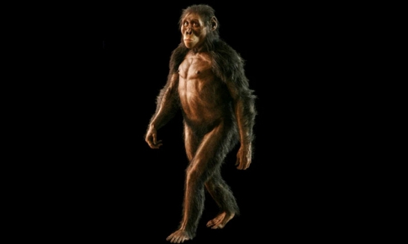 Hóa thạch tổ tiên loài người 3,2 triệu năm tuổi sắp được trưng bày tại Séc