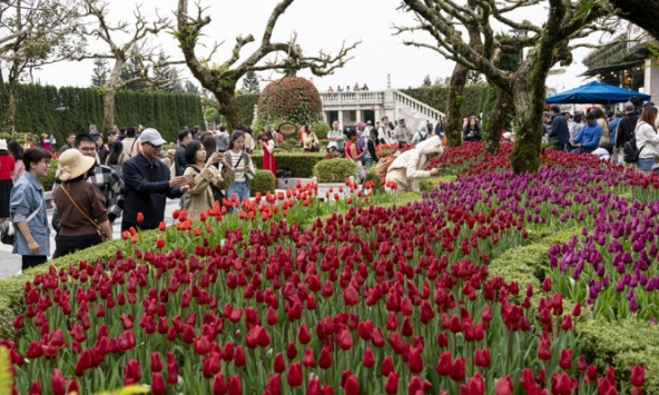 Miễn phí vé cáp treo tham quan Bà Nà đêm: ưu đãi du xuân đặc biệt hấp dẫn tại Đà Nẵng 