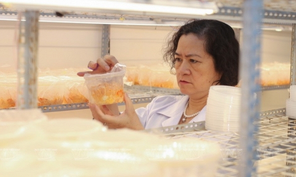 GS.TS Lê Mai Hương và những sáng chế bảo vệ sức khỏe người Việt