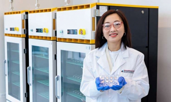 Nghiên cứu cải tiến hiệu suất pin tạo đột phá trong công nghệ lưu trữ năng lượng