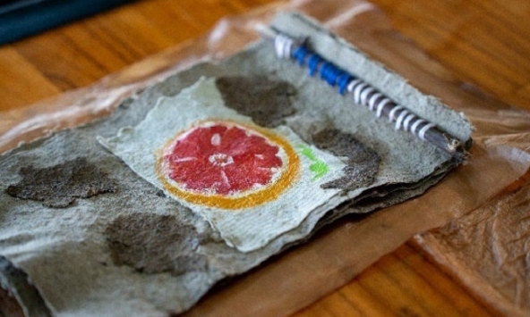 Việt Nam nghiên cứu sản xuất vải sinh học từ men Kombucha