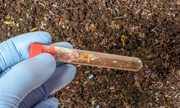 Phát hiện nguy cơ mới từ rác thải nhựa với thực vật và sức khỏe con người