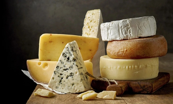 Lợi khuẩn từ phô mai có thể giúp giảm triệu chứng tự kỷ