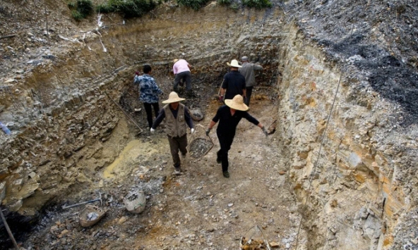 Trung Quốc phát hiện hóa thạch kỷ Jura hé lộ nguồn gốc loài chim