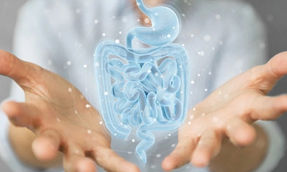 Nhật Bản phát hiện lợi khuẩn giúp kiểm soát béo phì