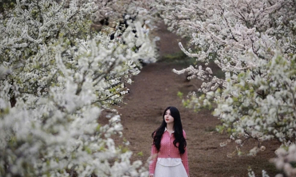 Khám phá những miền hoa đẹp tựa như cổ tích ở vùng núi Tây Bắc