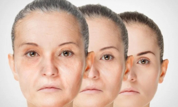 Các nhà khoa học Nhật Bản phát hiện chất chống oxy hóa tự nhiên giúp ngăn chặn tóc bạc