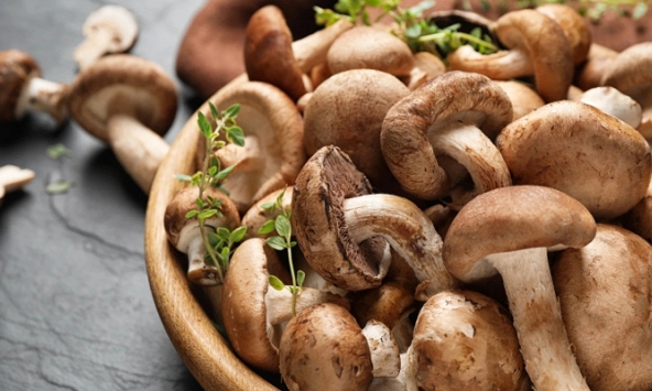 Phát hiện khả năng giảm nguy cơ viêm phổi biến chứng do cúm từ nấm