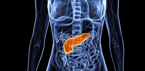 Chặn tín hiệu thần kinh, hướng đi hứa hẹn trong điều trị ung thư tuyến tụy