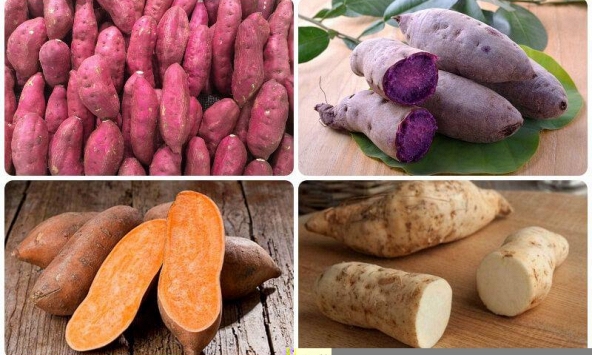 11 lợi ích thần kỳ nếu bạn nên ăn khoai lang mỗi ngày