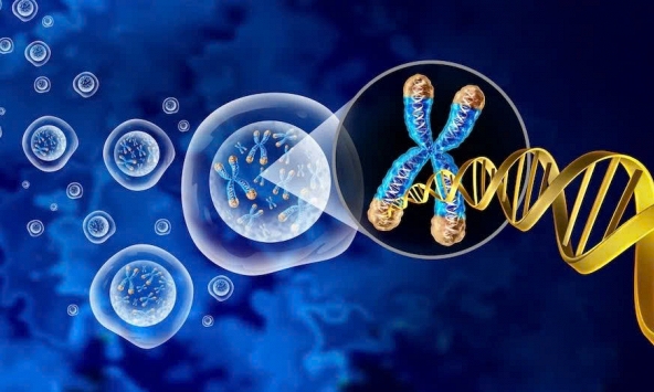 Phát hiện đáng ngạc nhiên mở ra hy vọng ngăn ngừa bệnh ung thư