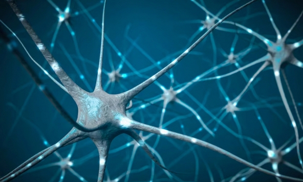 Nghiên cứu đột phá mở ra hy vọng hồi phục cho bệnh nhân đột quỵ