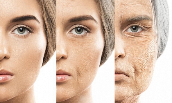 Các nhà khoa học phát hiện liệu pháp mới giúp ngăn nếp nhăn và tóc bạc
