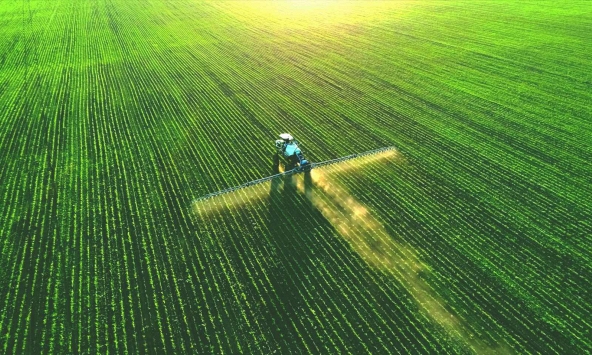 Trí tuệ nhân tạo đang thay đổi ngành nông nghiệp Trung Quốc