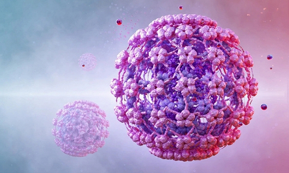 Nhiễm virus HPV làm tăng 40% nguy cơ mắc bệnh tim mạch