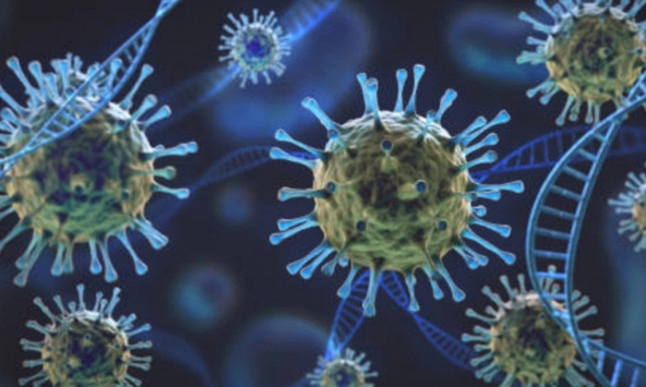 Phát hiện mới trong cuộc chiến chống virus SARS-CoV-2